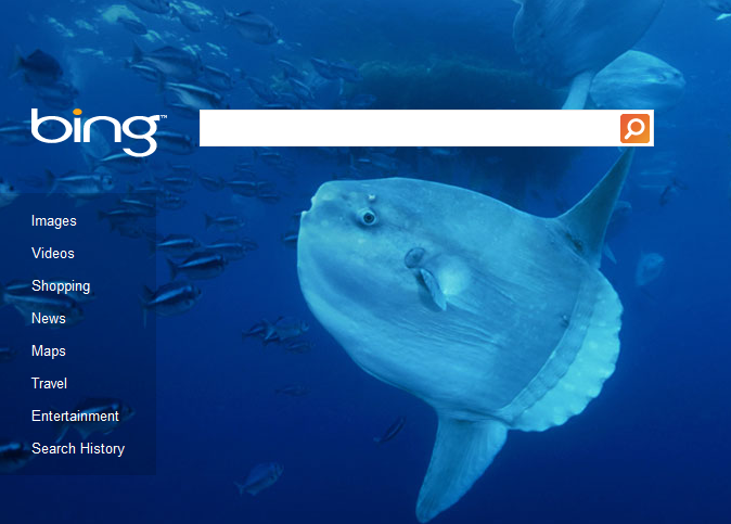 Bing is a strong competitor to Google in the search industry.