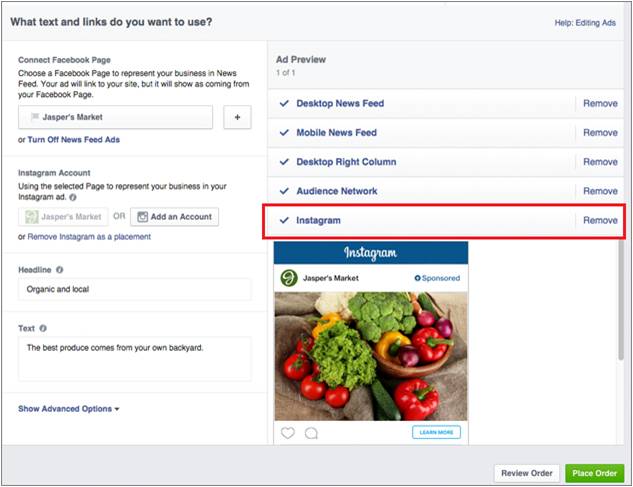Instagram Ad Options