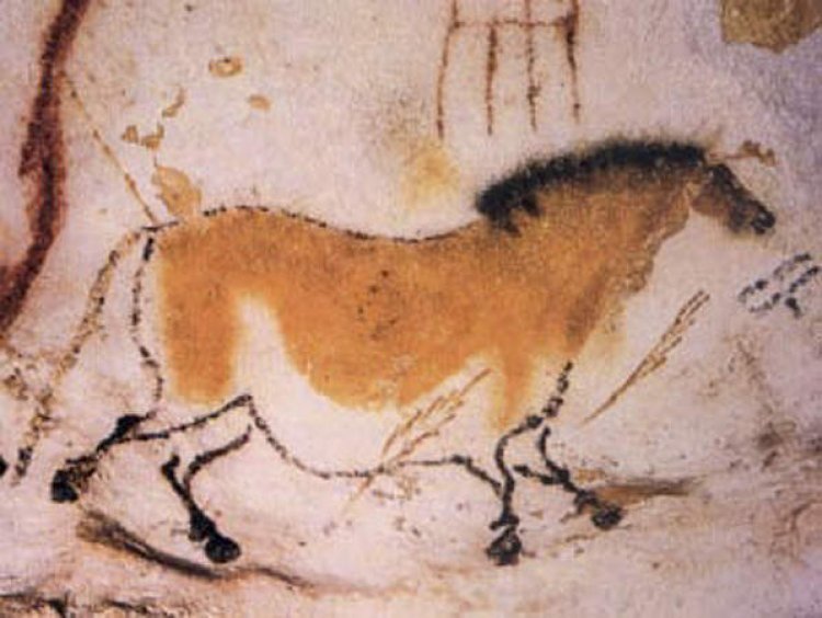 A content marketer's guide to the history of video