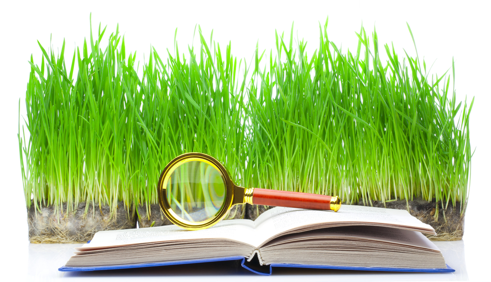 organic content for restaurants
