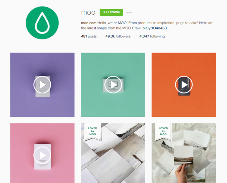 moo instagram