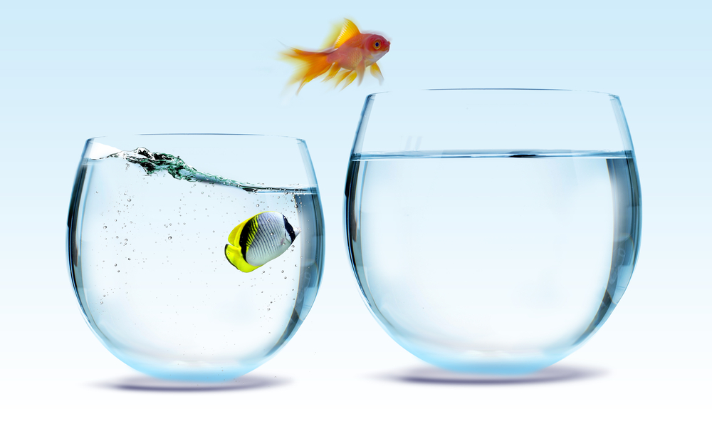 Did content marketing predictions for 2012 come true?