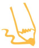 small pencil