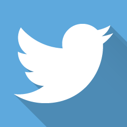 Twitter social icon