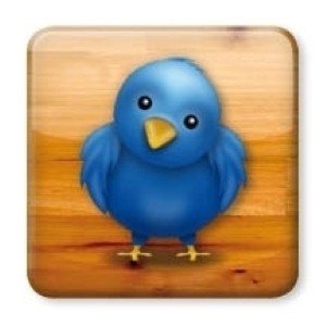 Twitter unleashes retargete ads that help brands get their messages to the right users.