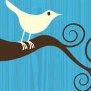 Twitter users influence brands' online reputations.