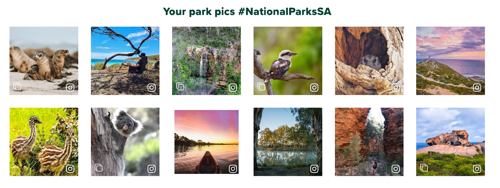 content curation example national parks SA